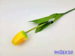  Bimbós tulipán szálas 53 cm - Sárga
