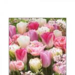 Ambiente Pink Tulips papírszalvéta 25x25cm, 20db-os