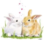 PPD Húsvéti szalvéta - 33x33cm, 20db-os - Easter Kiss