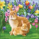 Ambiente Mother Bunny papírszalvéta 33x33cm, 20db-os