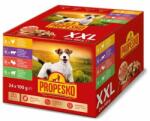 Partner in Pet Food alutasak kutyáknak csirke-marha, pulyka-bárány 24x100g XXL szószban - mall