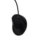 iggual IGG318386 Mouse