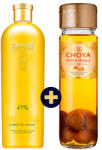 TATRATEA Virágos Tea 0, 7l 47% + CHOYA Royal Honey 0, 7l 17%