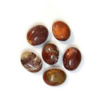  Fosil Lemn Mineral Natural Rulat 28-32 x 20-26 x 12-16 mm - ( L ) - 1 Buc
