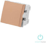 Smarthugo egypólusú arany villanykapcsoló betét - 101 (sh100123)