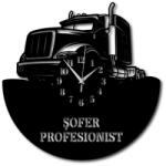  Ceas de perete Sofer profesionist
