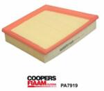 CoopersFiaam Filtru aer CoopersFiaam PA7919