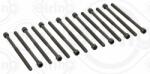 ELRING Set surub, chiulasa ELRING 794.480 (794.480)