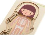  Fa puzzle - Emberi test Egyéb változatok: Lány