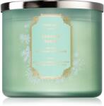 Bath & Body Works Cedar & Suede lumânare parfumată 411 g