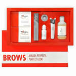 Thuya Professional Thuya Kit pentru definirea si nuantarea sprancenelor Perfect Look (TH011150020)