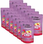 Dolina Noteci Dolina Noteci Superfood Venison & Beef 10 x 300 g