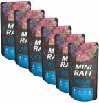 RAFI Rafi Adult Mini GF with Lamb 6 x 150 g