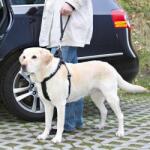 TRIXIE Lesă câine, tip centură de siguranță mașină- culoare neagră, 27 cm