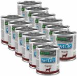  FARMINA Farmina Vet Life Hepatic Canine 12 x 300 g