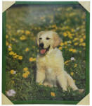 Kellys Mylar falikép 40x50