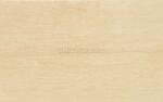 Zalakerámia Legno ZBD 42035 falicsempe, világosbézs matt 25x40 cm, 1, 5 m2/cs (2042-0405-3501)