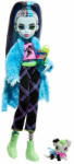 Mattel Monster High: Creepover party baba - Frankie Stein (HKY68) - aprojatek