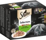Sheba Selection alutasakos nedves macskatáp szószban - Finom változatosság, 12x85g - 1.020 g