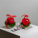 ImodFlowers Trandafir Criogenat în Glob de Sticlă