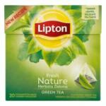 Lipton Zöld tea LIPTON Fresh Nature 20 filter/doboz (30.01105)