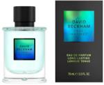 David Beckham True Instinct EDP 75 ml