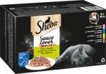 Sheba Sauce Lover macskatáp szószban - Finom változatosság, 8x85g - 680 g