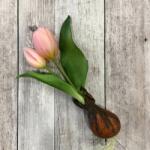 Kreatív Hagymás tulipán rózsaszín élethű