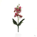  Orchidea levéllel, gyökérrel ciklámen-cirmos (KB-50-1585CIKC)