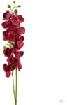  2 ágú orchidea bordó (KB-50-1586BOR)