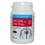 Bio-Synergie Drojdie de orez rosu x 90cps moi, Bio-Synergie