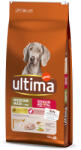  Affinity Ultima 2x12kg Ultima Medium/Maxi Senior csirke száraztáp