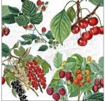  Szalvéta 33x33cm 20db/csomag Fresh Fruits, Friss gyümölcsök (MB.13316105)