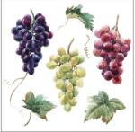  Szalvéta 33x33cm 20db/csomag Wine Grapes, Szőlőfürtök