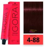 Schwarzkopf Igora Royal hajfesték 4-88 - hairpower