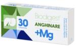 Biofarm, Romania Anghinare + Magneziu x 30 cps