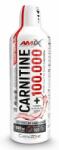 Amix Nutrition Carnitine 100.000, , Mango-Coconut 1000ml