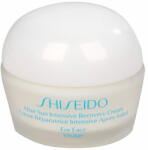 Shiseido (After Sun Intensive Recovery Cream) 40 ml után