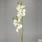  2 ágú orchidea fehér (KB-50-1586FEH)