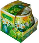 ADMIT Lumânare parfumată - Admit Candle In Glass Cover Easter Green 80 g