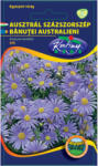 Rédei Kertimag Zrt Ausztrál százszorszép (Brachycome iberidifolia) kék (0, 25 g)
