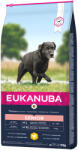 EUKANUBA Eukanuba 10% reducere! 15kg Adult /Junior / Senior Pui hrană uscată câini - Caring Large Breed (15 kg)