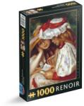 D-Toys Puzzle 1000 Piese D-Toys, Pierre-Auguste Renoir, Two Girls Reading (TOY-66909-02) Puzzle