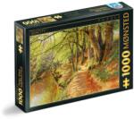 D-Toys Puzzle 1000 Piese D-Toys, Peder Mork Monsted, A Spring Day in the Woods (TOY-77417-05) Puzzle