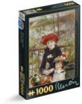 D-Toys Puzzle 1000 Piese D-Toys, Pierre-Auguste Renoir, Two Sisters (On the Terrace) (TOY-66909-01) Puzzle