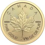 Royal Canadian Mint FRUNZA DE ARȚAR 2024 - 1/10 Oz - monedă de aur pentru investiții Moneda