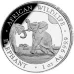 Perth Mint Elefant african 2024 - 1 Oz - Monedă de argint pentru investiții Moneda
