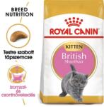 Royal Canin BRITISH SHORTHAIR KITTEN - Brit rövidszőrű kölyök macska száraz táp 20 kg (2 x 10 kg)