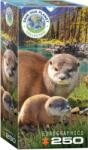 EUROGRAPHICS 250 db-os puzzle - Otters (8251-5558) (8251-5558)