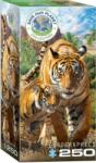 EUROGRAPHICS 250 db-os puzzle - Tigers (8251-5559) (8251-5559)